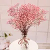 Fiori decorativi conservati secchi Gypsophila Baby Breath Million Stars Bouquet di fiori Decorazione Pianta naturale Home Deco Mariage