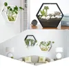 Wall Mounted Hanging Plant Pot Balcony Planter Basket Flower Garden Hanging Scindapsus Planter Supply Plants Racks Home Decor Y200188e