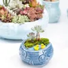 Blue Ocean Series köttig blomkruka vas europeisk stil skal fiskform keramisk bonsai växt krukor suckulenter planter för skrivbordet q205w