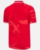 Koszulki mężczyzn 2024 Nowa Walia Rugby Jersey Drużyna narodowa koszulki Cymru Sever Wersja Puchar Świata Polo T-shirt TOP Welsh Rugby Trening