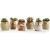1 stks mooie keramische mini pot bureau planter voor vetplant bonsai bloem cactus uil pot cadeaus voor vrouwen meisjes jongens kinderen Y0314247g