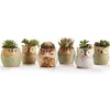 1 pièces belle mini pot en céramique bureau planteur pour plante succulente bonsaï fleur cactus hibou pot cadeaux pour femmes filles garçons enfants Y0314250I