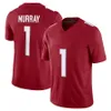 18 Marvin Harrison Jr. Kyler Murray J.J. WATT PAT Tillman Budda Baker James Conner Rondale Moore Joshua Dobbs Marquise Brown Michael Wilson Clayton Tune Football Jersey