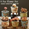 Ceramic Flower Pot Succulent S Cactus S Planter Garden S Outdoor Home Decoration Windows Bill Y200723251A