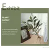 Decorative Flowers 2 Pcs Artificial Olive Branch Home Supply Accessory Goods Plastic Accessories