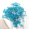 Bouquets de fleurs décoratives gypsophile éternelles, pour la maison, mariage, magasin, décoration blanche, haute qualité, séchée, pour petite amie et maman