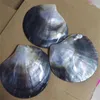 Colares Pingente 3 PCS Mulheres Pingentes Preto Seawater Shell Materiais Tamanho 80-90mm Bom para Colar Designs Descobertas Itens Naturais S