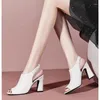 Robe chaussures mode poisson bouche sandales femmes 2023 été sexy dos creux talon épais talons hauts pour Zapatos de Mujer