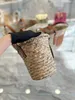 23Lowe Designer Bag Summer Lafite Woven Beach Bag Underarm Wandering Bag Tote Bag Casual Resort Style