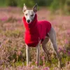 Abbigliamento per cani Gilet invernale in pile Whippet Abbigliamento levriero italiano Dolcevita morbido 231122