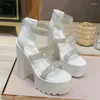 Sandals Summer Women Platform High Heel Gladiator Shoes Female Pumps Rhinestone Party Ankle Strap Model