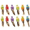 12 pcs Coloré Mini Simulation Oiseaux Faux Mousse Artificielle Modèle Animal Miniature De Mariage Maison Jardin Ornement Décoration C190416012825