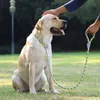 Köpek Yakaları Tazlar Cawayi Kennel Yansıtıcı Naylon Pet P Zincir Çekiş Yürüyen Halat Zinciri Orta Köpekler 231122