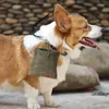 Köpek Taşıyıcı Tedavisi KARABINER TAPI İLE PET EĞİTİMİ İÇİN TECAKLAR ELastik Shrink Bant Torbası kolayca oyuncakları taşır