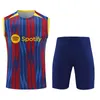 2023 2024 Barcelona Training Wear Short Sleeve Kit Soccer Jerseys PEDRI LEWANDOWSKI ANSU FATI FERRAN RAPHINHA GAVI Footall Shirt Vest Uniforms