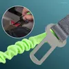 Collari per cani Guinzaglio tattico Bungee Doppio manico Cintura di sicurezza per auto Riflettente Multifunzione Guinzagli da corsa Comfort Freedom Accessori per animali domestici