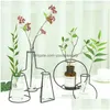 Vase Creative Iron Vase Planter Rack Flower Pots Shelf Bardian Decoration Soilless Organizer Home Accessories Droper Delivery GardenDHT9Z