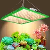 LED Grow Light Samsung Full Spectrum Fan Activated Carbon Filter Set For Indoor Plant Flower Greenhouse Hydroponic