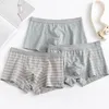 Underpants Męska bielizna: Summer Pure Cotton Bokser Shorts Mid tali