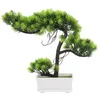 Decoratieve Bloemen Standbeeld Welkom Lied Kantoor Japanse Home Decor Gesimuleerde Ingemaakte Plastic Kunstplanten