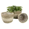 3 STKS Handgeweven Bloempot Cover Duurzame Natuurlijke Bloempot Planter Hangende Mand Y0314324f