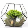 Pentágono de vidro preto, recipiente de terrário geométrico, decoração de peitoril de janela, vaso de flores, varanda, plantador, caixa de exibição diy, sem planta t200104274r