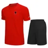 알바니아 남성 축구 훈련 트랙 슈트 저지 패스트 드리 짧은 슬리브 축구 셔츠 커스텀 로고 야외 T 셔츠 312a