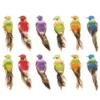 12 pcs Coloré Mini Simulation Oiseaux Faux Mousse Artificielle Modèle Animal Miniature De Mariage Maison Jardin Ornement Décoration C19041601332N