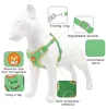 Hundehalsbänder Leinen Haustier Brustgurt Weste Typ Kleines Seil Outdoor Reflektierende und atmungsaktive Traktion 231122