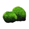 Decoraties 23 cm Marimo Mosballen Live Rium Plant Algen Vis Garnalen Tank Ornament Groen Sier Voorgrond Gras 220713 Drop Deliv Dhduo