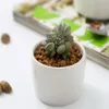 240pcs Keramik Bonsai -Töpfe Ganzes Mini weiße Porzellanblumenpots Lieferanten für die Säuget von saftigen Innenhäusern Kindergarten 323a