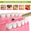 Spazzolino da denti in bambù ad ultrasuoni elettrico intelligente con spazzolini da denti ugelli teste Sonic USB sbiancamento dei denti per adulti 230421