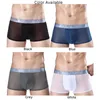 Caleçons sous-vêtements en soie de glace hommes sans couture Boxer slips voir à travers la culotte mâle respirant pure culotte troncs homme Pantie