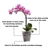 20 pcs / lot Meshpot 10 cm en plastique transparent orchidée cactus pots succulents planteur avec trous fonction d'élagage de l'air fentes de croissance des racines 2104287q