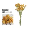 Fleurs décoratives de style coréen Ins, petite Simulation fraîche de marguerite blanche, faux accessoires de tournage en Studio Po, bouquet de camomille