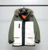 Winter heren donsjack met staande kraag dikke donsisolatie parka, winter buitensport parka katoenen jas, originele unisex versie van 'Bathing Snow'