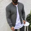 Giacche da uomo Pieghe autunnali da uomo Giacca aderente a righe sottili Cerniera Cappotto a maniche lunghe Cardigan Sport Uomo casual Uomo hip-hop