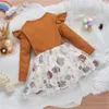 Meisjesjurken Herfstjurk Baby Meisjes Geribbelde Tule Stiksels Ruches Casual Prinses Feest A-lijn Vestidos Lange Mouw Voor Geboren Kinderen