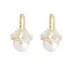 Dangle Oorbellen 2023 Elegante Shell Bloem Cluster Parel Bal Hanger Voor Vrouwen Koreaanse Glanzende Zirkoon Oorbel Bruiloft Sieraden