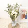 Decoratieve bloemen Natuurlijke gedroogde eucalyptus Daisy bloemen boeketten creativ geschenken ins wind meubels bohemian interieur bruiloften decoratie