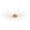 Chandeliers Lights Modern LED Ceiling For Living Room Novelty Fireworks Modeling Lighting Nordic Home Lamps Bedroom Fixtures