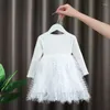 Robes d'automne en coton pur pour filles, manches longues, mode féerique, princesse bouffante, Tulle, doux et mignon, couleur unie, col rond