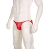 Men's Sexy Briefs See Through Mesh Underwear Transparent Bikini Breathable Ultra Thin Bulge Pouch Hombre