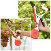 Inne narzędzia ogrodowe Połączenie narzędzie do wiązania maszyny Tapener winogrona winorośli