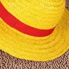 Bereliler japon animesi Cosplay Hasır Şapkalar Tek Parça Luffy Şapka Karikatür Kap Sevimli Düz Renk Unisex Kapaklar Nefes Şapkalı Plaj