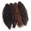 Perucas sintéticas ailiade curta clipe de garra de rabo de cavalo curto no cabelo Fake for Women Pony Tail Hairpiece