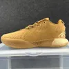 Mens 21 basketskor 20 xx utomhus sneakers sötvatten akoya drake pearl teater alla stjärna valde debuttidsmaskinen Purple Gold xxi Mens Sports Trainers 2024