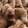 Beddengoed stelt faux konijn fur herfst winter warme beddengoed set pluche huidvriendelijk ademende warmte dekbedoverdekje set queen gezellige quilt cover sets 231122
