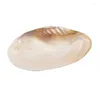 Charms Big Natural Shell for Pearl Party Show Large Sea Shells Decoração de Casa Dechwater Oyster Pearls/Beds Recipiente FP374