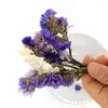 Dekorativa blommor blandade färger Naturtorkade bukett Glöm mig inte för DIY Art Decorations Card Making Decoration Accessories 5G/Bag